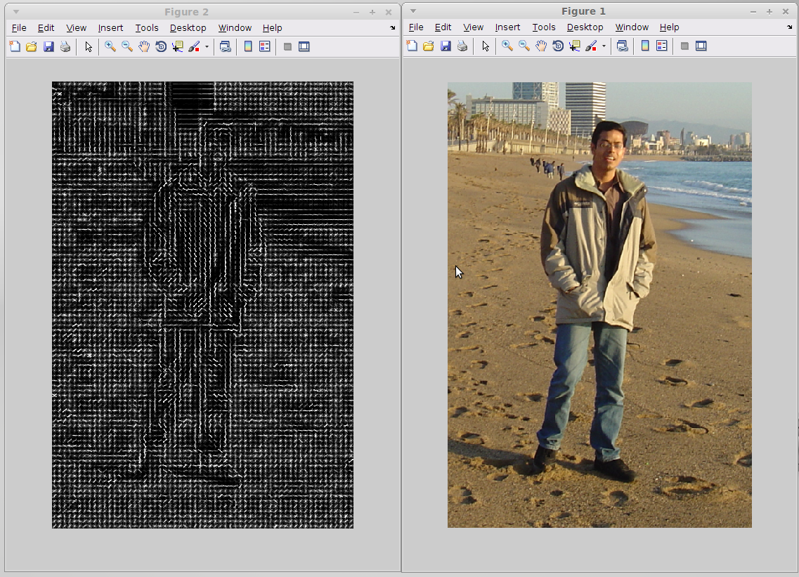 Software – Mehran Maghoumi